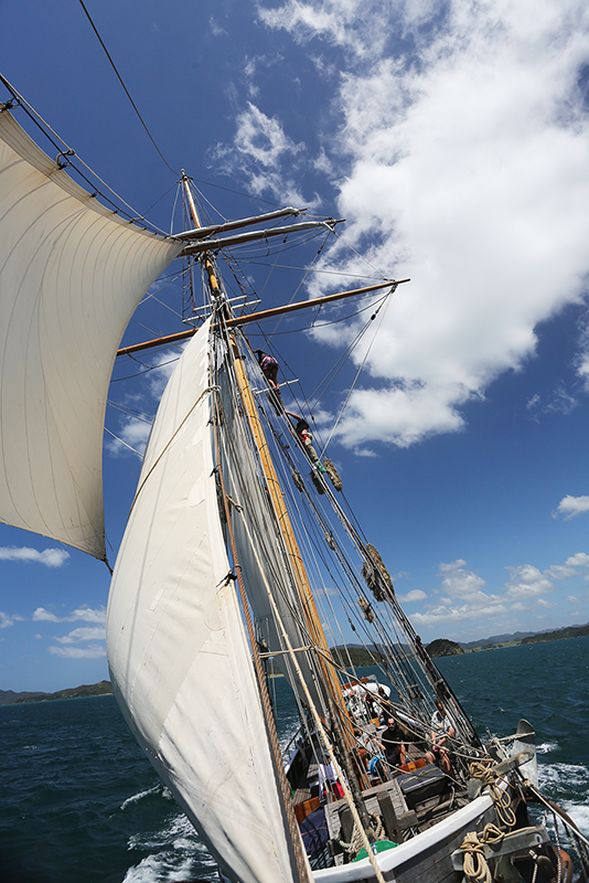 Sail on the R Tucker Thompson, Bay of Islands, NZ